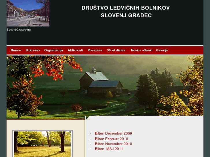 www.drustvo-dlbsg.si