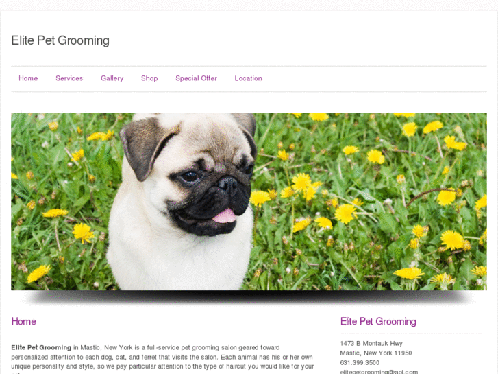 www.elitepetgrooming.com