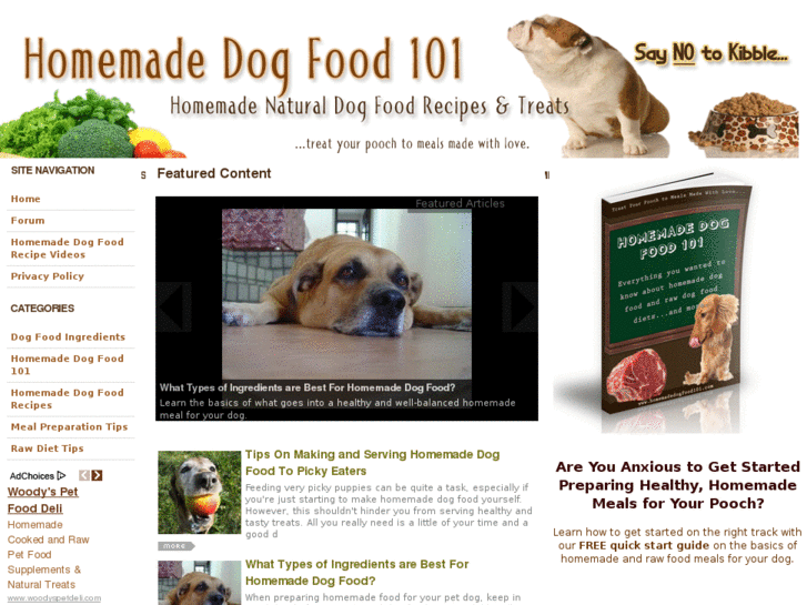 www.homemadedogfood101.com