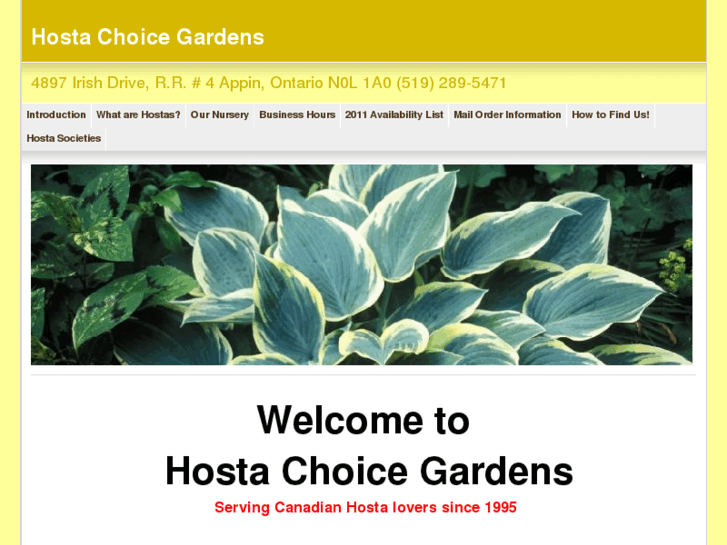 www.hostachoicegardens.com