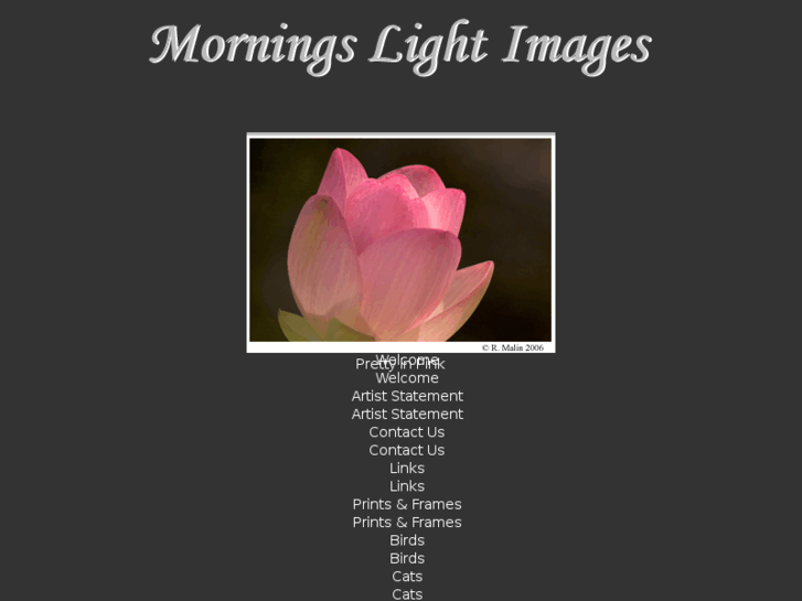 www.morningslightimages.com