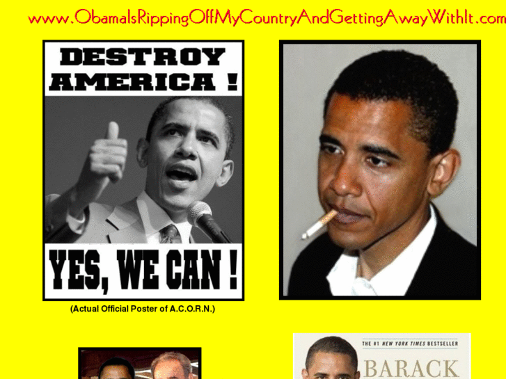 www.obamaisrippingoffmycountryandgettingawaywithit.com