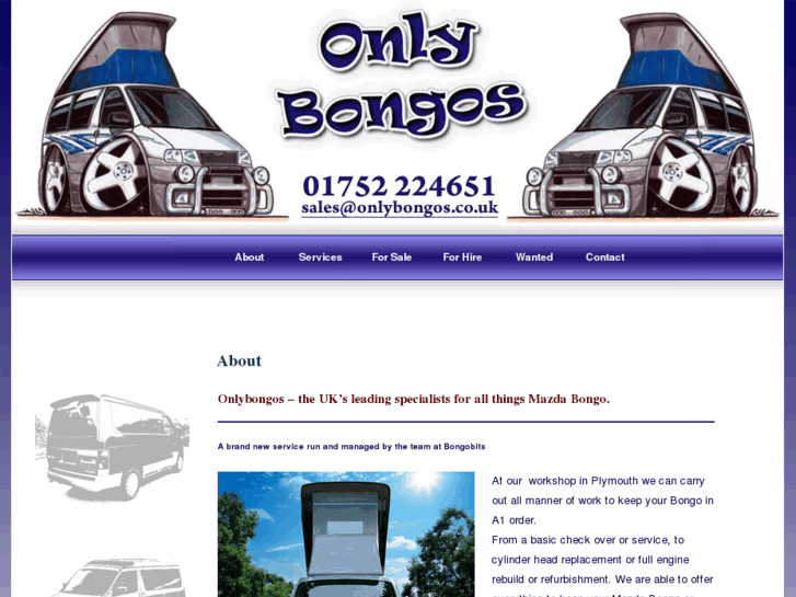 www.onlybongos.co.uk