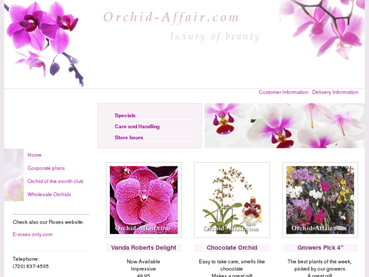 www.orchid-affair.com