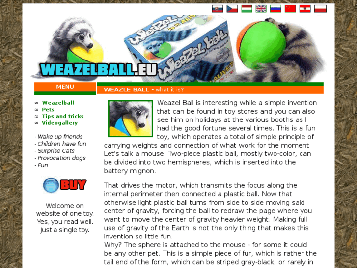 www.weazelball.eu
