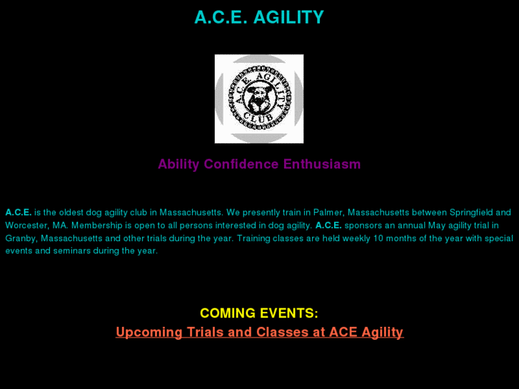 www.aceagility.org