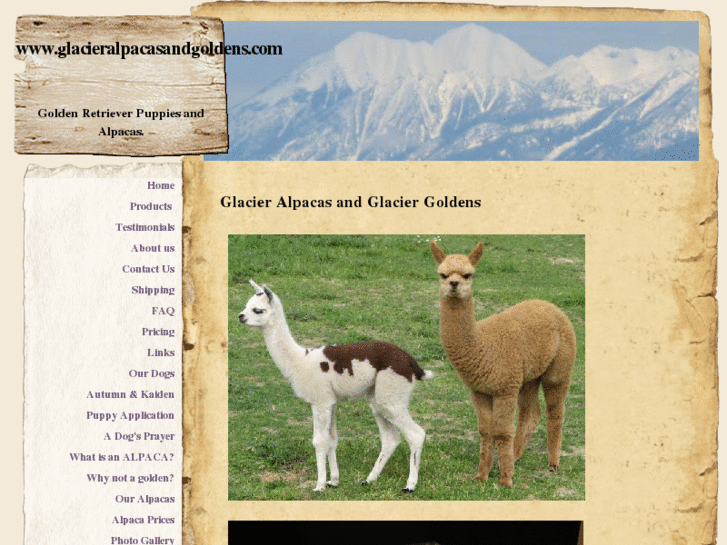 www.glacieralpacasandgoldens.net