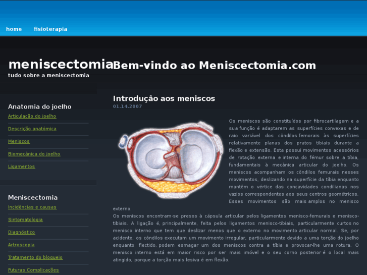 www.meniscectomia.com