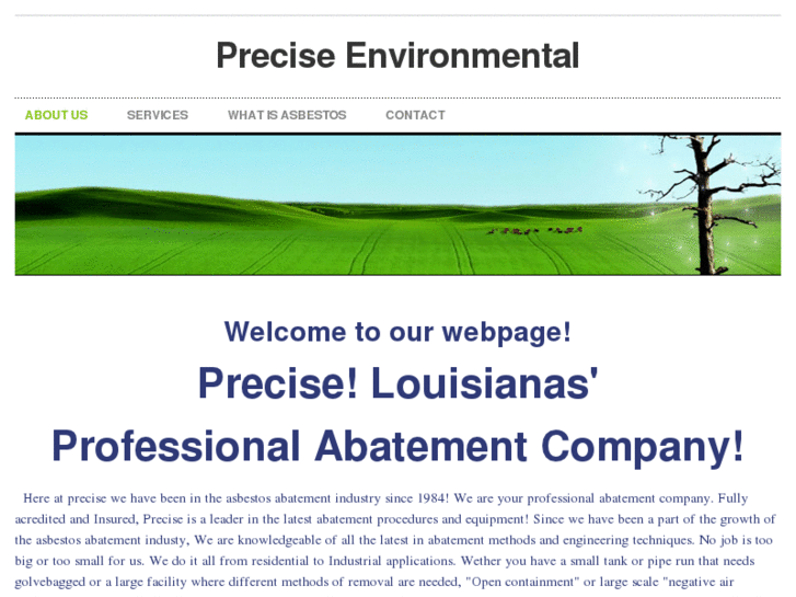 www.preciseenvironmentalla.com