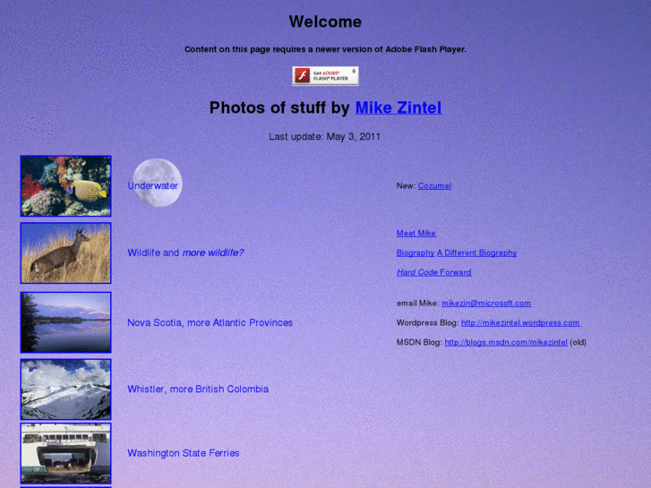www.zintel.net