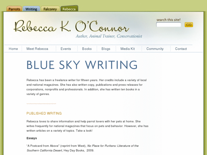 www.blueskywriting.com