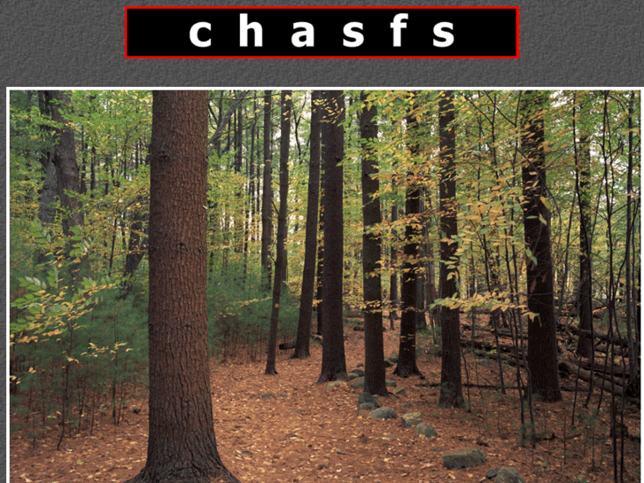 www.chasfs.com