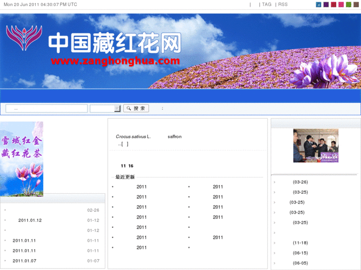 www.chinasaffron.com