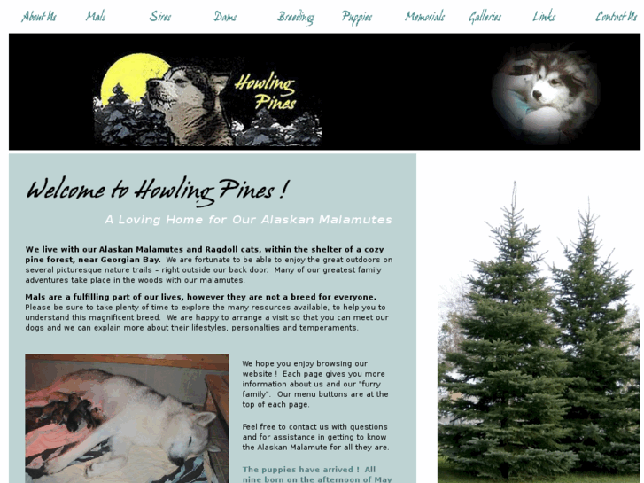 www.howlingpines.com