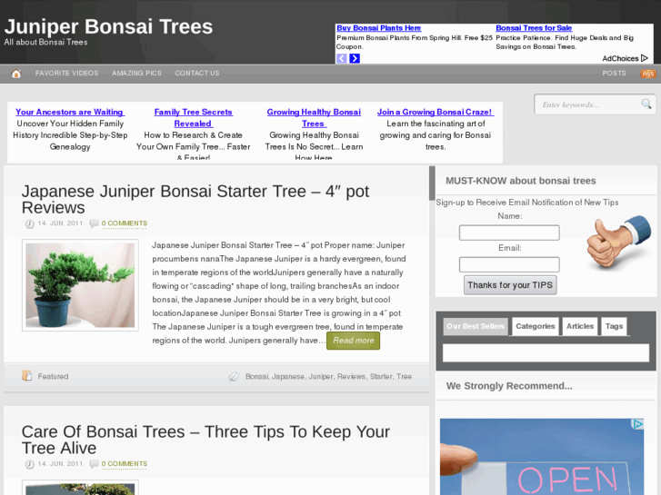 www.juniper-bonsai-trees.com