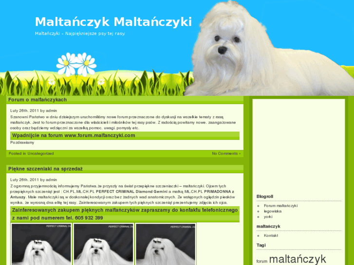 www.maltanczyki.com