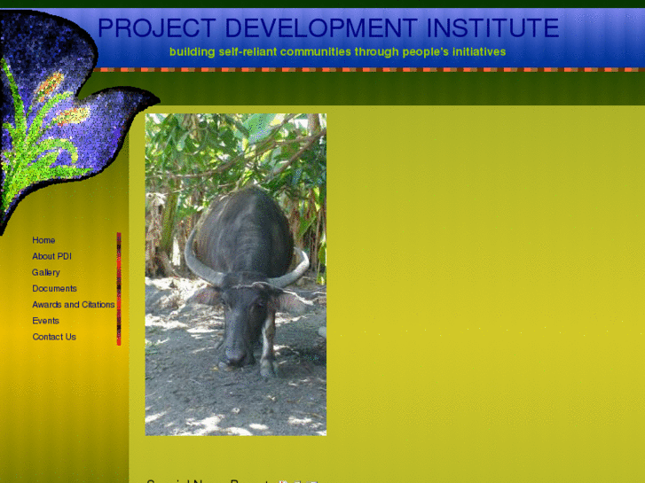 www.projectdevelopmentinstitute.org