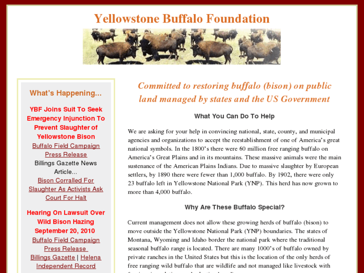 www.americanbuffalofoundation.org