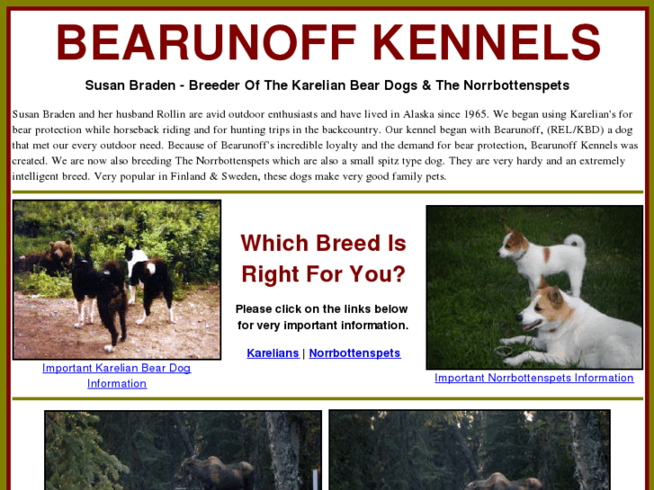 www.bearunoffkennels.com