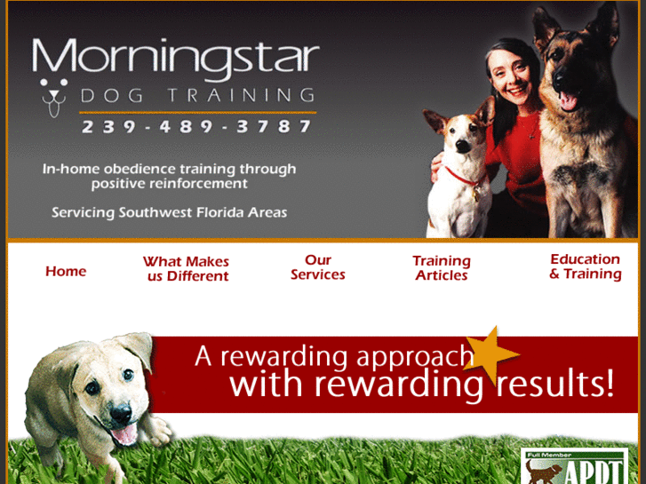 www.morningstardogtrainer.com