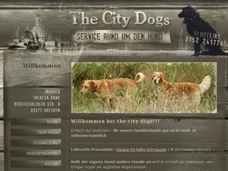 www.the-city-dogs.de