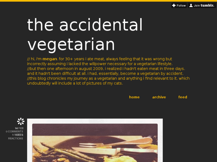 www.accidentalvegetarian.com