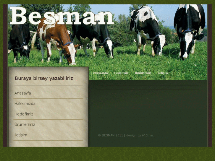 www.besmanltd.com