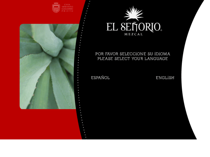 www.elsenorio.com