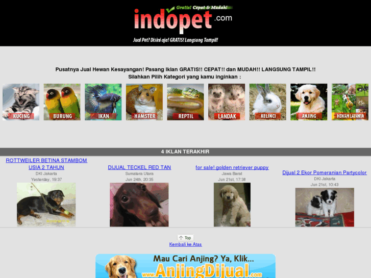 www.indopet.com