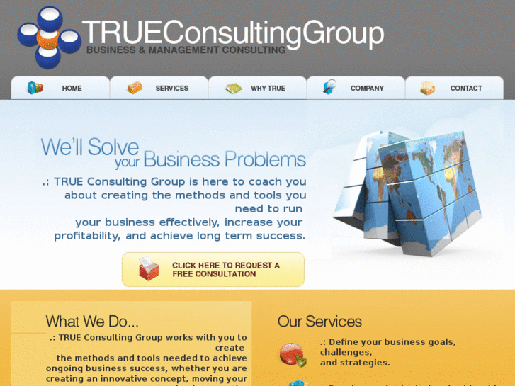 www.trueconsultinggroup.com