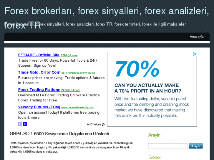 www.forexbrokerlari.com