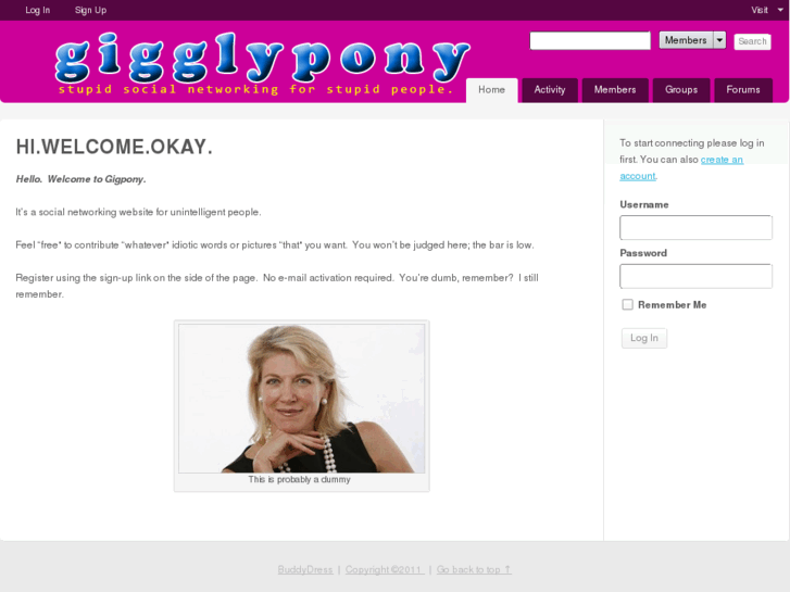 www.gigpony.com