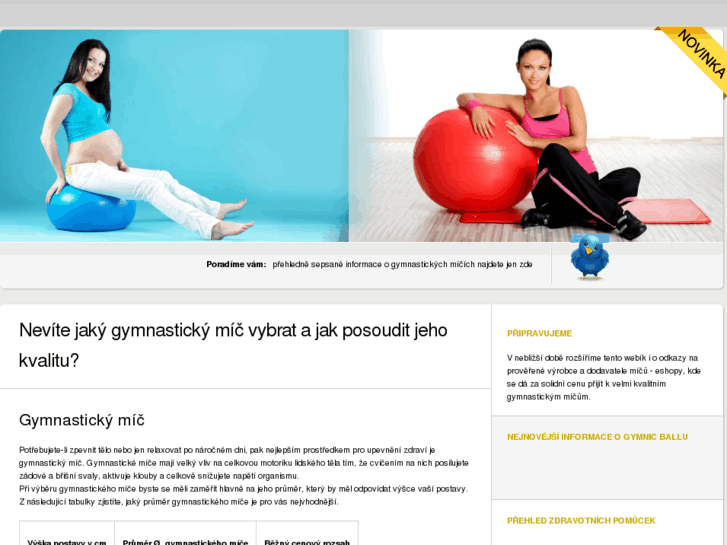 www.gymnasticky-mic.info