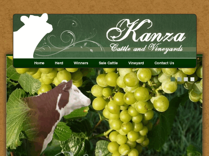 www.kanzacattle.com