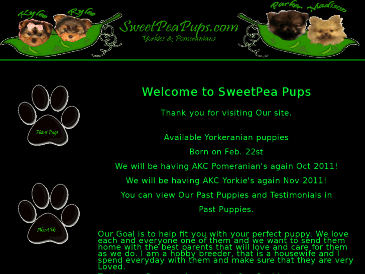 www.sweetpeapups.com