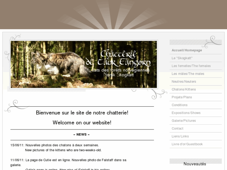 www.taurfangorn.com