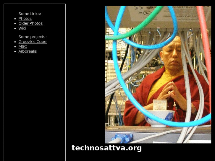 www.technosattva.org