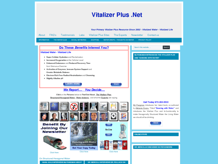 www.vitalizerplus.net