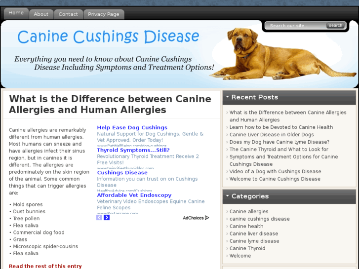 www.caninecushingsdisease.org