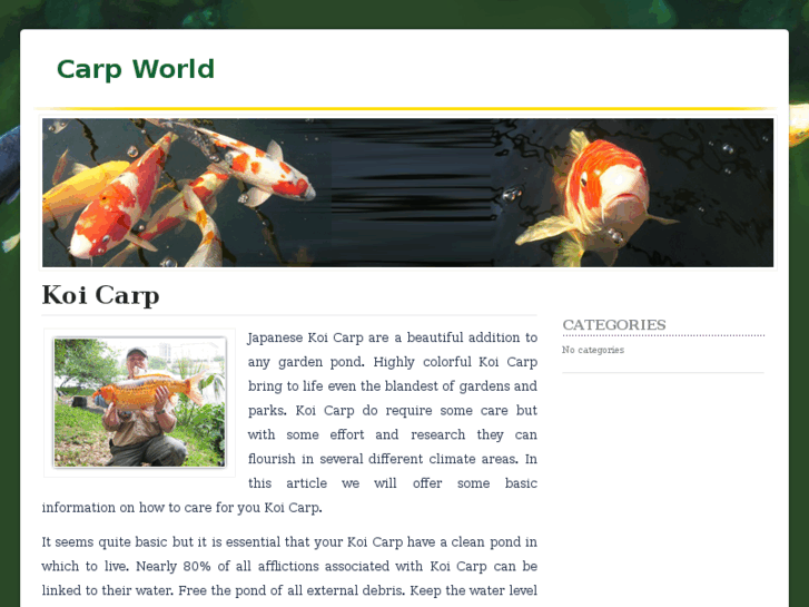 www.carpworld.co.uk