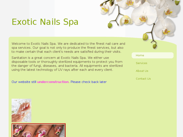 www.exoticnailspa.com