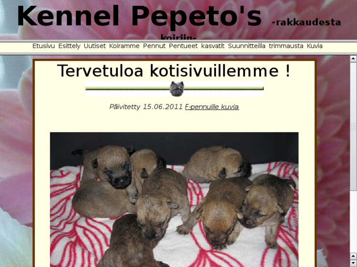 www.pepetos.net