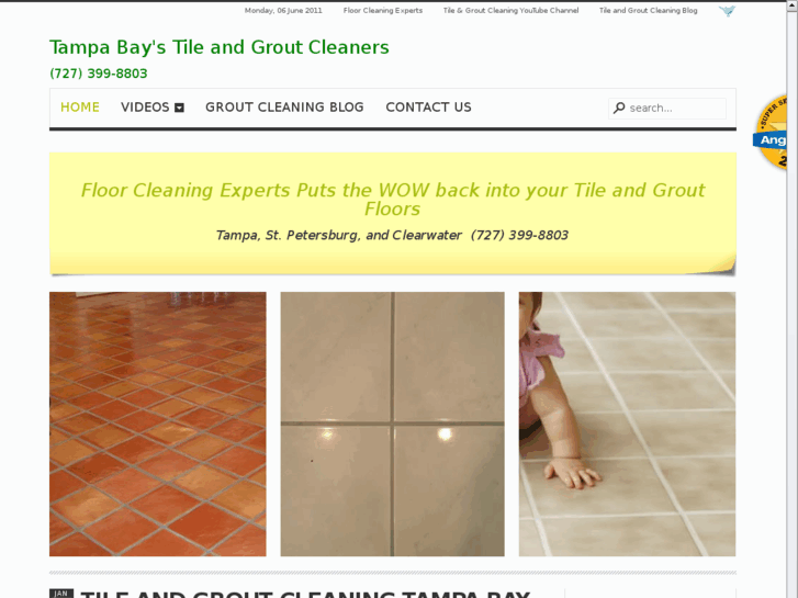 www.tile-and-grout-cleaning-tampa.com