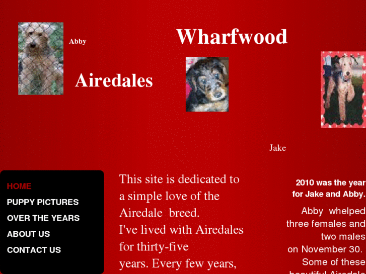 www.wharfwoodairedales.com