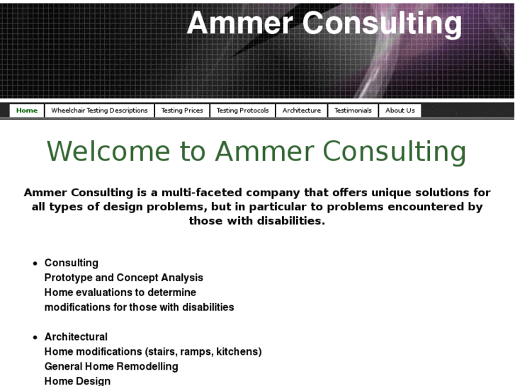 www.ammerconsulting.com