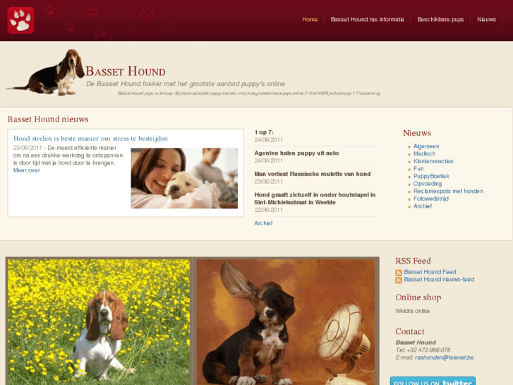 www.bassethound-online.be