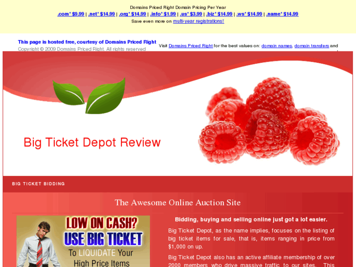 www.bigticketdepot-review.net