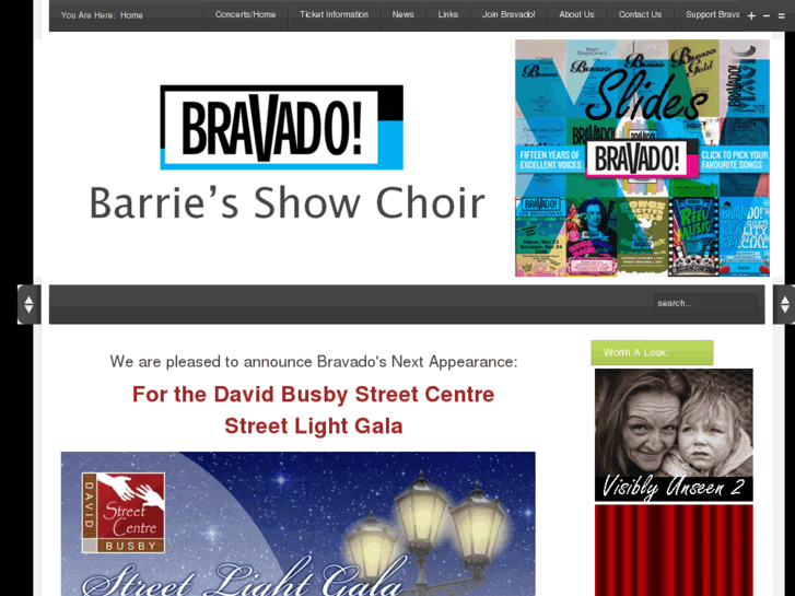 www.bravadoshowchoir.com