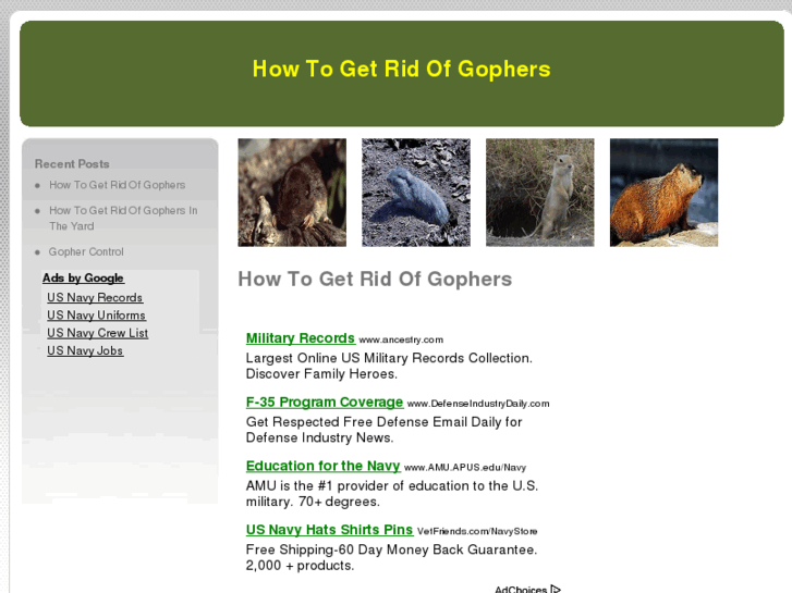 www.howtogetridofgophers.org