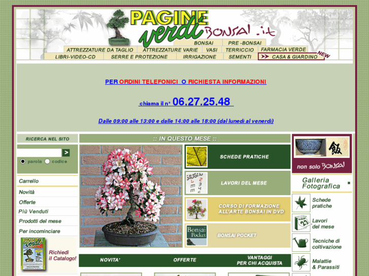 www.pagineverdibonsai.com